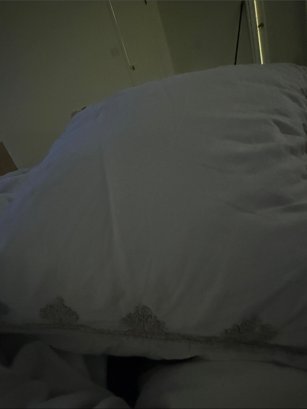Embroidered White Decorative Pillow Sham
